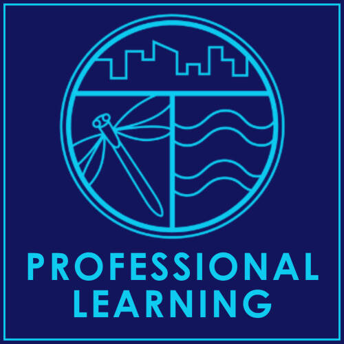 Professional Learning